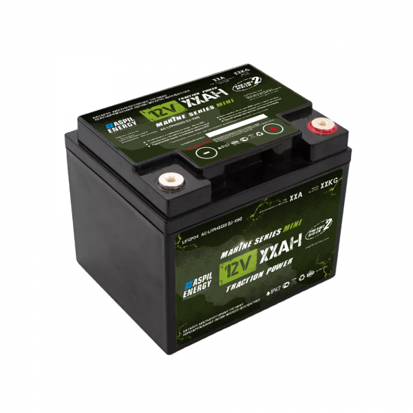 АКБ ASPIL Energy Marine series 12v60Ah