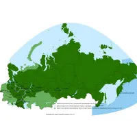 Аксессуары
